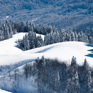 中国人激烈吮乳吃奶头
