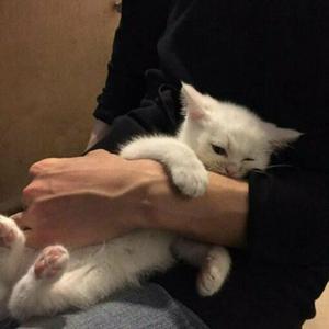 中国人激烈吮乳吃奶头
